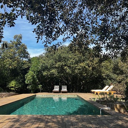 La Canopee Private Ecolodges Nîmes Exteriör bild