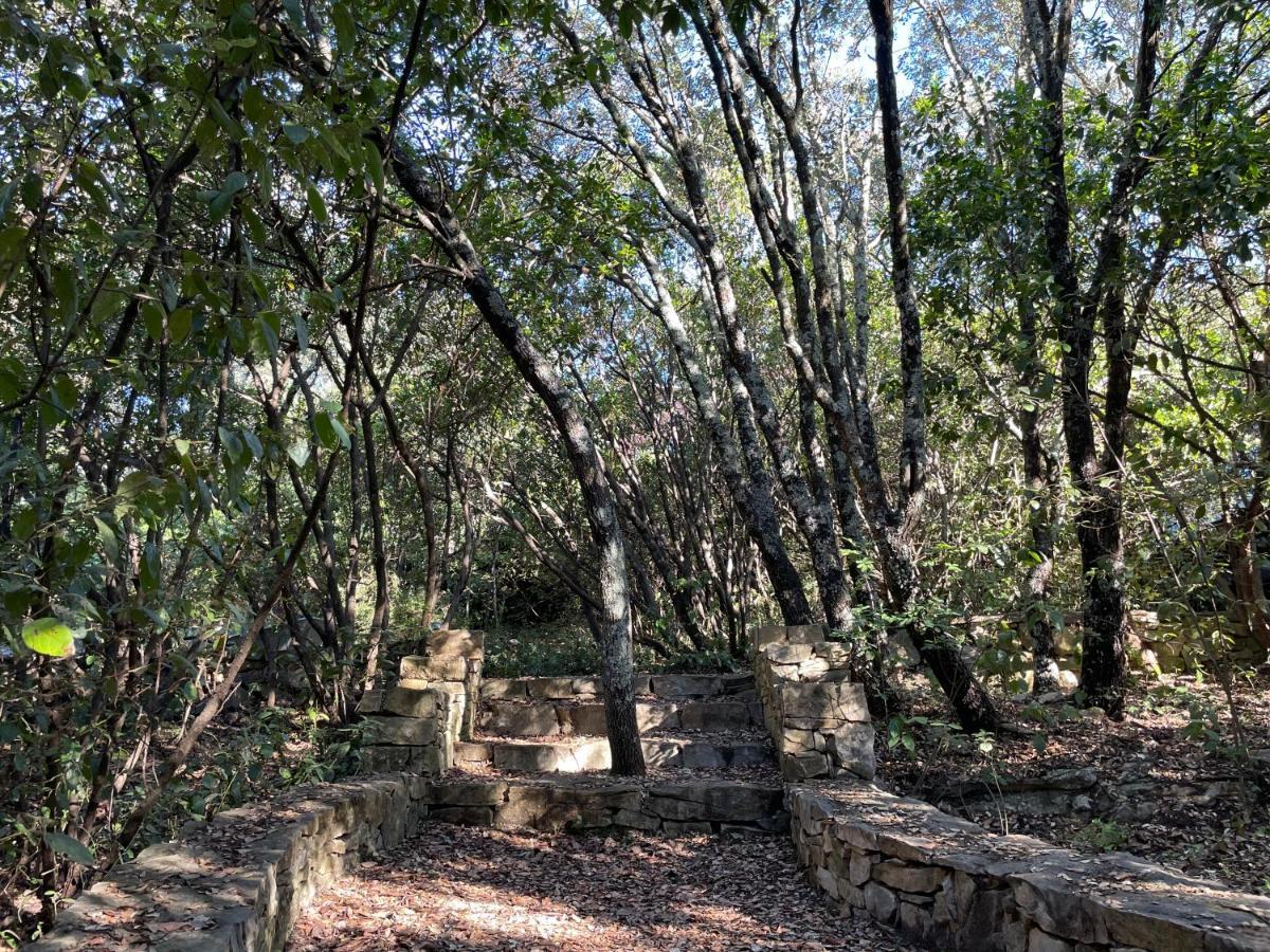 La Canopee Private Ecolodges Nîmes Exteriör bild